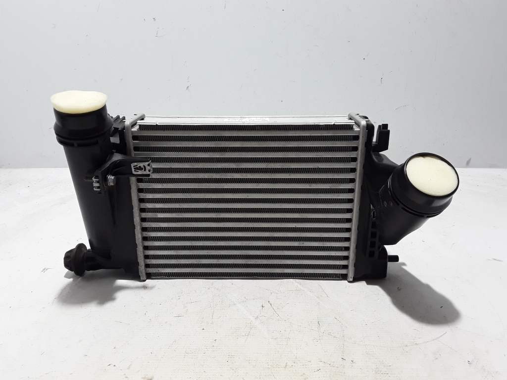 RENAULT Kadjar 1 generation (2015-2024) Radiateur de refroidisseur intermédiaire 144614BE0A 22450789