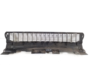   Front bumper lower grille 