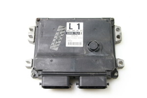 Engine control unit - 3392079J1