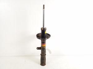 Stoßdämpfer hinten