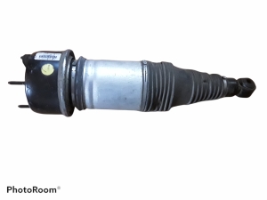   Stoßdämpfer hinten  - F308614201 