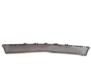  Front bumper lower grille 