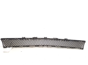  Front bumper lower grille 