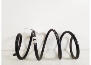 Front spring