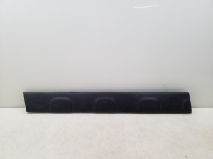 Front door molding