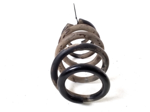 TOYOTA RAV 4 A3 (2005–2012) Tagumine vedru 48231-42160 - 2