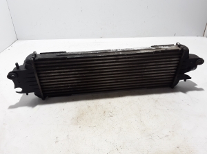 RENAULT Trafic II (2001–2014) Ladeluftkühler 8200219497 - 4