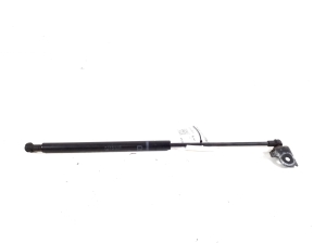 LEXUS IS (2005–2013) Hood prop/gas strut 53440-0W101 - 2