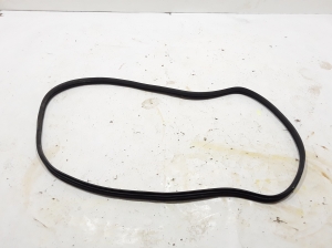 RENAULT Clio III (2005–2012) Tagumise külje ukse tihenduskumm kerel 8200428869 - 3