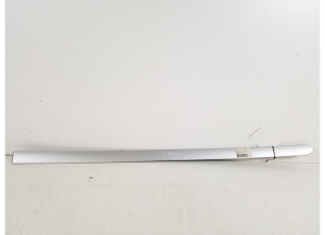 Rear side door molding - 75742-44020