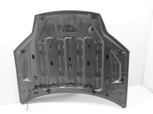 RENAULT Laguna III (2007–2015) Hood 651000021R - 2