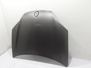   Hood  - 651000021R 