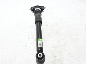   Rear shock absorber 