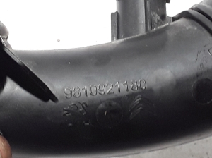Peugeot 2008 P24 (2019–2026) Caurule 9810921180 - 2