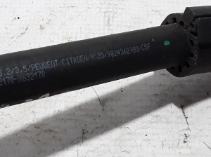 Peugeot 2008 P24 (2019–2026) Radiator hose 9824362980 - 3