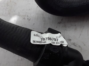   Radiator hose  - 9824485480 