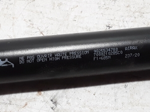 Peugeot 2008 P24 (2019–2026) Trunk lid strut 9825534780 - 2