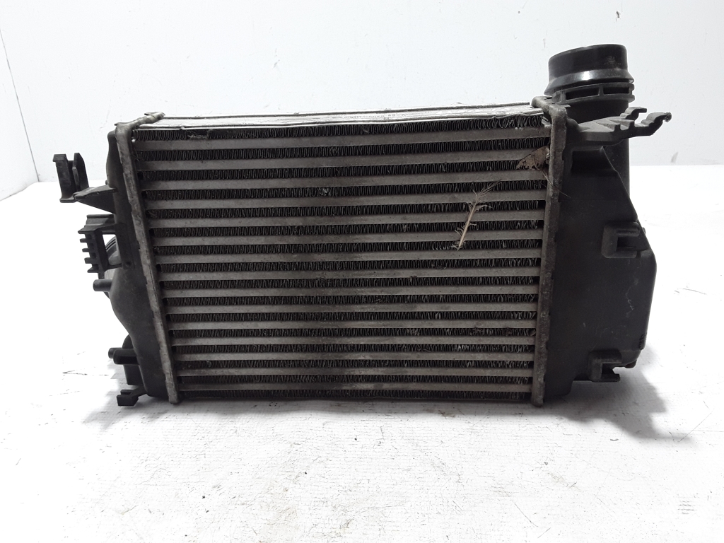 RENAULT Megane 4 generation (2016-2023) Radiateur de refroidisseur intermédiaire 144614EA1A 22453128