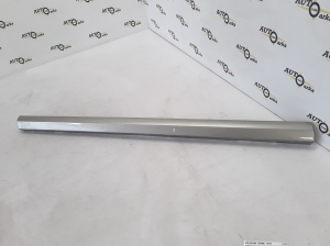 Front door molding - 30791065
