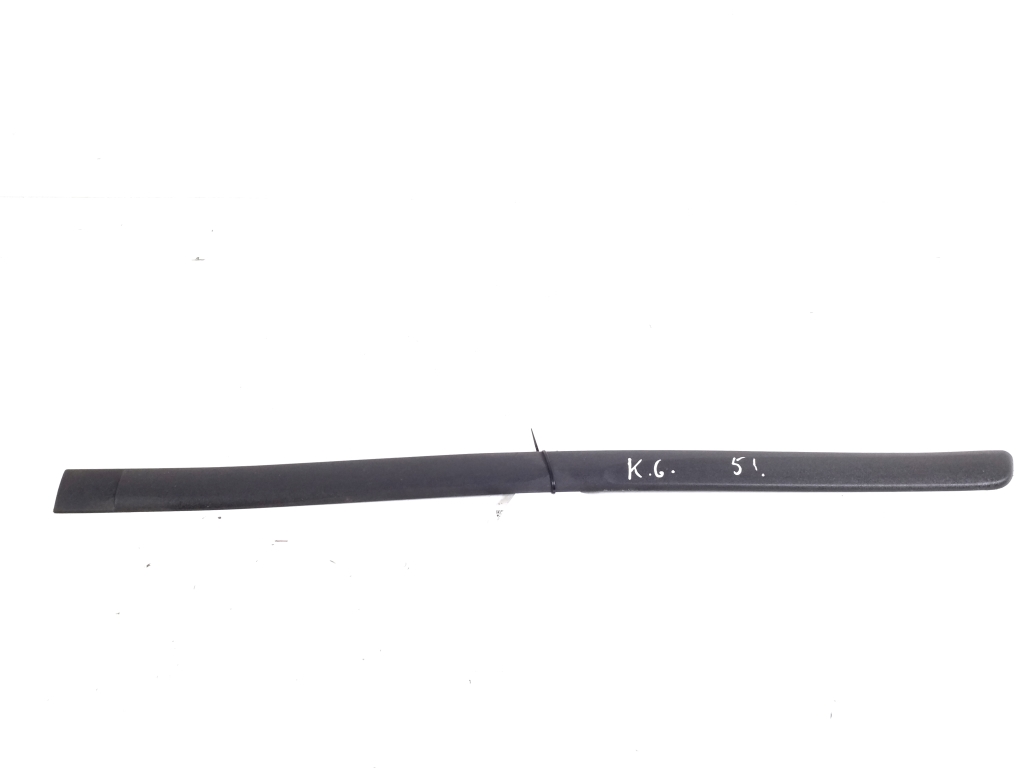 TOYOTA Prius 2 generation (XW20) (2003-2011) Left Side Sliding Door Molding 21092223