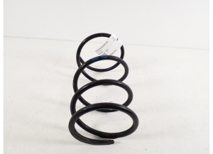 TOYOTA RAV 4 A2 (2000–2005) Front spring 48131-42420 - 3