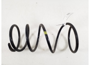 Front spring