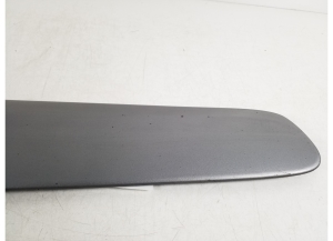 TOYOTA RAV 4 A2 (2000–2005) Esiukse liist 75731-42110 - 2