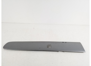   Front door molding  - 75732-42110 