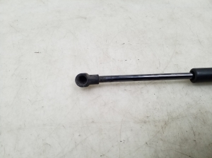 NISSAN Murano Z50 (2003–2017) Hood prop/gas strut - 2