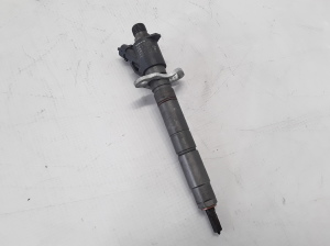   Fuel injector 