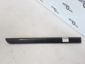 Rear side door molding - 31253729