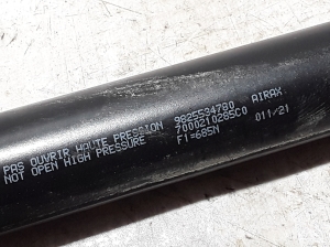 Peugeot 2008 P24 (2019–2026) Trunk lid strut 9825534780 - 3