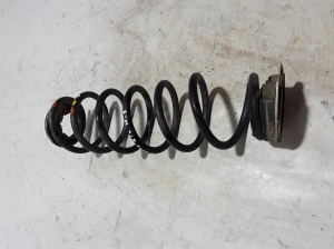  Rear spring 