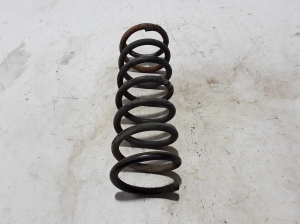 Feder hinten - 30666218