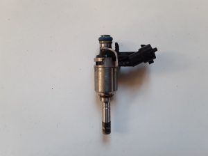   Fuel injector 