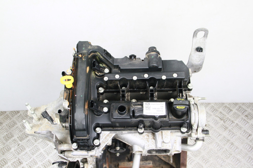 FORD Fiesta 6 generation (2008-2020) Γυμνός κινητήρας XYJD 25208541