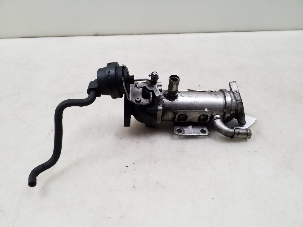 OPEL Vivaro EGR Valve 8200505409 24933017