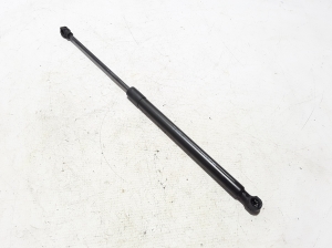   Trunk lid shock absorber 