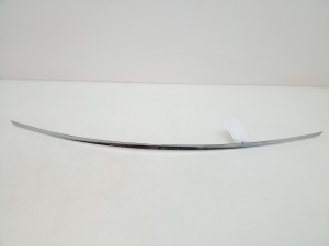  Trunk lid strap 