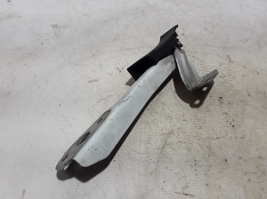 RENAULT Master III (2010–2017) Kapoti hing 654010006R - 2