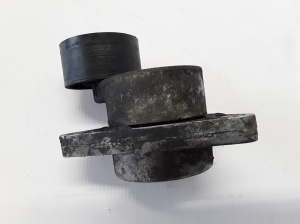 RENAULT Trafic II (2001–2014) Riemenspanner 0802410121 - 2