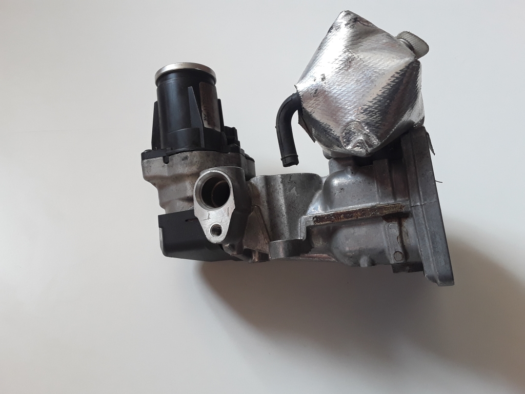 SKODA Fabia 2 generation  (2010-2014) Егр клапан 0280751016 27641113