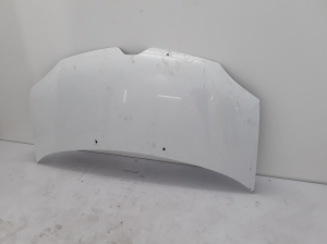Motorhaube - 651006384R