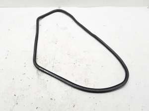   Rear side door seal on the door  - 7468733 