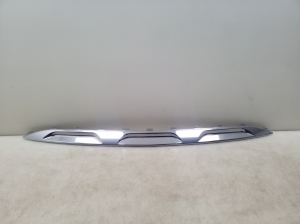  Front bumper trim strip 