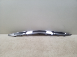  Front bumper trim strip 