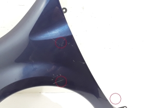 RENAULT Modus (2004–2012) Front fender 631019020R - 2