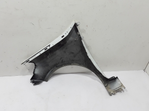 RENAULT Clio III (2005–2012) Front fender 8200256118 - 2