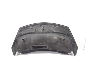 RENAULT Espace IV (2002–2014) Hood 651000267R - 3