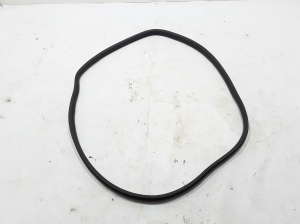 Rear side door sealing rubber on the body - 769234807R